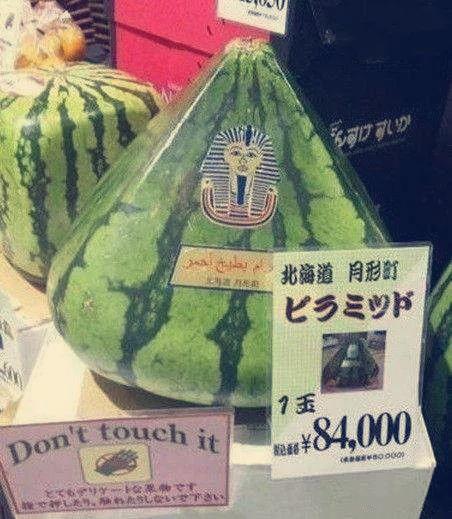 最强吃瓜群众图文小说免费阅读,图文小说免费阅读，揭秘娱乐圈幕后风云